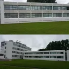 Business 5 image MARTIN PAINTING & DECORATING Wallpaper & Wallcovering Installation & Removal in Ennis CE