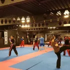 Business 2 image MASTERS TEMPLE MARTIAL ARTS Sports & Recreation in Bray WW