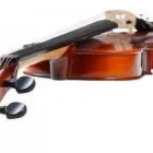 Business 1 image METROPOLITAN COLLEGE OF MUSIC Music Teachers in Dublin IE


