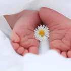 Business 1 image MILESTONE MOMENTS Wedding Supplies & Services in Dublin IE


