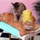 Business 1 image MOBILE MASSAGE Massage Therapists in Sligo SO