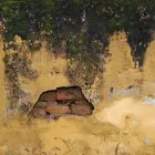 Business 2 image MOULD REMOVAL IRELAND House Cleaning Services in Bray WW