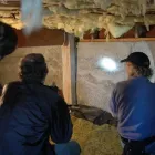 Business 4 image MOULD REMOVAL IRELAND House Cleaning Services in Bray WW