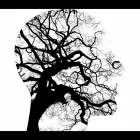 Business 31 image OLIVIA NAUGHTON COUNSELLING AND PSYCHOTHERAPY DUBLIN Psychotherapy in Dublin D