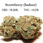 Business 1 image ONLINE CBD IRELAND Health & Medicine in Dublin IE



