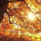 Business 1 image OPEN MIND THERAPY Psychotherapists in Naas KE