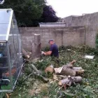 Business 5 image PAT O'HARA & SONS TREE SURGEONS Tree Work & Forestry Services in Dublin IE


