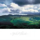 Business 3 image PRESCIENCE Travel & Tourism in Rosscarbery CO