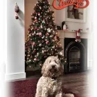 Business 1 image PRINTING COMPANY Web Developers in Dublin IE


