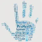 Business 1 image PROHEALTH PHYSIOTHERAPY & SPORTS INJURY Sports Injury Clinics in Drogheda LH
