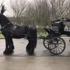 Business 8 image QUINNS FUNERAL HOME Funeral Services & Crematories in Dundalk LH