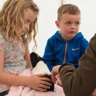 Business 15 image RADISSON BLU HOTEL & SPA LIMERICK Travel & Tourism in Limerick IE


