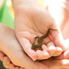 Business 16 image RADISSON BLU HOTEL & SPA LIMERICK Travel & Tourism in Limerick IE


