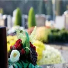 Business 3 image RAMON MASSEY & SON Travel & Tourism in Walkinstown D