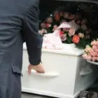 Business 1 image RAMON MASSEY & SON Travel & Tourism in Celbridge KE