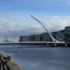 Business 9 image RED RAIN SEO Web Developers in Dublin IE


