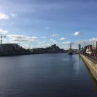 Business 10 image RED RAIN SEO Web Developers in Dublin IE


