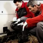 Business 5 image RENTOKIL PEST CONTROL NAAS BRANCH Travel & Tourism in Naas KE