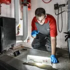 Business 2 image RENTOKIL PEST CONTROL SLIGO BRANCH Real Estate & Home Improvement in Collooney SO