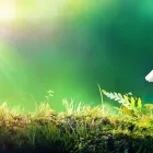 Business 1 image REPLACE BOILER Real Estate & Home Improvement in Virginia CN