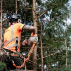 Business 45 image REVIVE LANDSCAPING & HOME IMPROVEMENTS Landscape Gardeners & Contractors in Carlow IE


