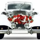 Business 2 image ROAD CHAUFFEUR Travel & Tourism in Dublin IE


