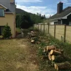 Business 1 image SCANLON TREE SERVICES Tree Work & Forestry Services in Wicklow WW