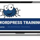 Business 2 image SMILING SPIDERS WEB DESIGN Web Hosting & Domain Name Registration Services in Dublin D