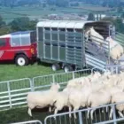 Business 1 image SMS TRAILERS Trailers & Towing Equipment in Kilkenny KK