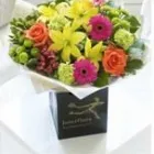 Business 5 image SOMETHING SPECIAL FLORIST Shopping in Trim MH