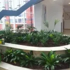 Business 1 image SOUND GARDENS Tree Work & Forestry Services in Wexford WX