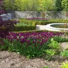Business 2 image SOUND GARDENS Tree Work & Forestry Services in Wexford WX