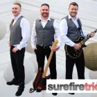 Business 4 image SUREFIRE TRIO Wedding Venues in Dublin IE


