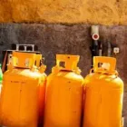 Business 12 image THE HARBOUR TRADING COMPANY Industries & Agriculture in Bray WW