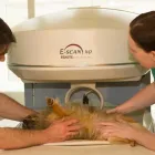 Business 3 image THE NORTH DUBLIN ORTHOPAEDIC ANIMAL HOSPITAL Veterinarians in Baldoyle D