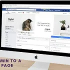 Business 3 image THE SOCIAL NETWORK Business & Professional Services in Carlow IE


