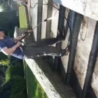 Business 5 image TIME2SHINE Window Cleaners in Dundalk LH