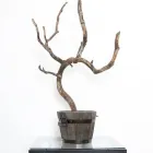 Business 4 image TRU IRISH Shopping in Monaghan MN