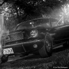 Business 1 image TRUE SHOT PHOTOGRAPHY LIMITED Wedding Photography & Videography in Dublin IE


