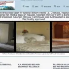 Business 8 image WEB DESIGN COUNTY IRELAND Web Developers in Kerry KY