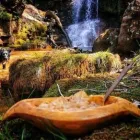 Business 4 image WHITEHEAD CUSTOM CRAFTS Woodworking Machinery & Equipment in Carlow IE


