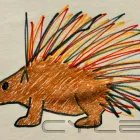 Business 1 image YOU CHOOSE T-shirt & Garment Printing in Waterford IE


