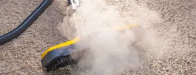 Business 4 image ABSOLUTE CLEANING Carpet & Upholstery Cleaning in Sandyford D