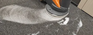 Business 5 image ABSOLUTE CLEANING Carpet & Upholstery Cleaning in Sandyford D