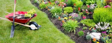 Business 1 image ANDREWS LANDSCAPING Landscaping & Gardening Services in Dublin D