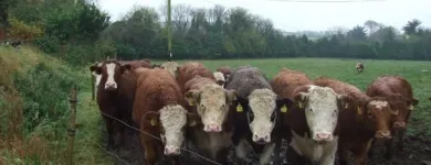 Business 3 image ANTHONY & ASSOCIATES LTD Industries & Agriculture in Cork CO