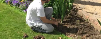 Business 1 image BEAUTIFUL GARDEN Tree Work & Forestry Services in Dublin IE


