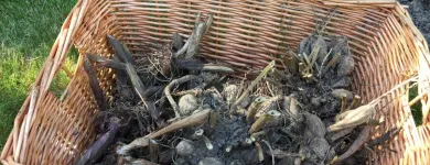 Business 2 image BEAUTIFUL GARDEN Tree Work & Forestry Services in Dublin IE


