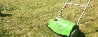 Business 3 image BEAUTIFUL GARDEN Tree Work & Forestry Services in Dublin IE


