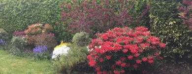 Business 7 image BEAUTIFUL GARDEN Tree Work & Forestry Services in Dublin IE


